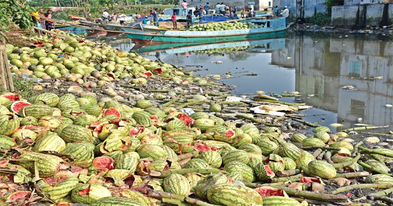 তরমুজ চাষিদের নীরব কান্না 