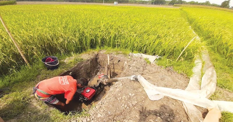 বড়াইগ্রামের অধিকাংশ টিউবওয়েলে পানি উঠছে না : দুর্ভোগ চরমে 