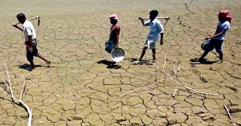 হুমকির মুখে আমন আবাদ 