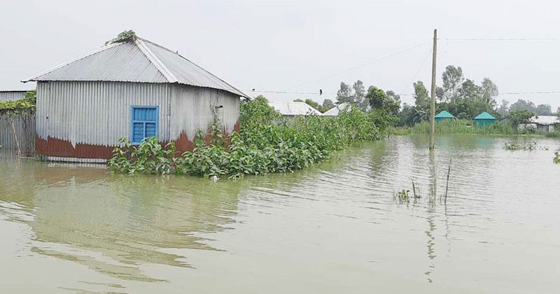 ২৮ সেন্টিমিটার পানি বেড়েছে যমুনার, বন্যা আতঙ্কে চরের মানুষ 