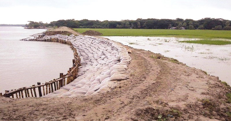 যে কোনো সুপার সাইক্লোন রুখতে পারবে সুন্দরবন 