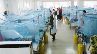 2023May/SM/dengue-20230525175025-20230525180103.jpg