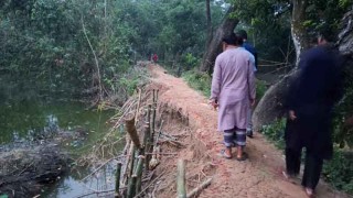 ব্রাহ্মণপাড়া দুলালপুর - বালিনা সড়কটির বেহাল দশা