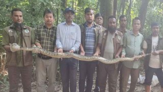 দোকান হতে উদ্বার ১১ফুট দৈর্ঘ্য অজগর কাপ্তাই ন্যাশনাল পার্কে অবমুক্ত