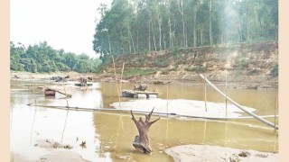 হুমকির মুখে সামাজিক বাগান ও নাকুগাঁও স্থলবন্দর