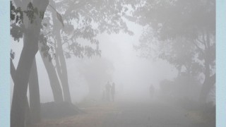 ঘন কুয়াশায় ৩ ঘণ্টা ফেরি সার্ভিস চালু