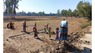 ফসলি জমিতে গর্ত করে রাস্তায় মাটি ভরাট