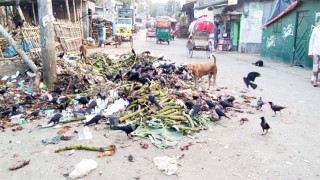 বর্জ্য-আবর্জনার শহর সৈয়দপুর