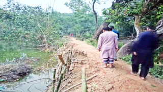 ব্রাহ্মণপাড়ার দুলালপুর-বালিনা সড়কের করুণ দশা