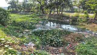 হাজীগঞ্জে ভরাট মিঠানিয়া খালের মুখ, হুমকিতে ফসলি জমি