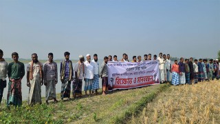 লক্ষ্মীপুরে সরকারি রাস্তা কেটে যুবলীগ নেতার চাষাবাদ, প্রতিবাদে মানববন্ধন