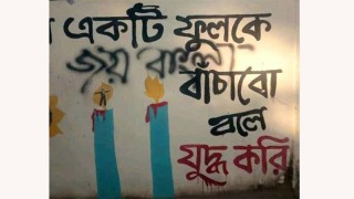 জুলাই বিপ্লবের গ্রাফিতির উপর লেখা 'জয় বাংলা’, 'জয় বঙ্গবন্ধু', শিক্ষার্থীদের ক্ষোভ