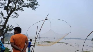 ভর শীতে ও গারো পাহাড় সীমান্তাঞ্চলের বিলে-ঝিলে দেখা মিলছে না অতিথি পাখির!