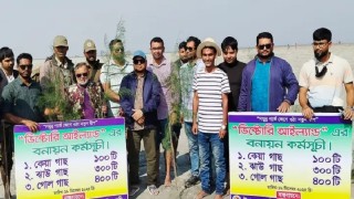 বঙ্গোপসাগরের বুকে জেগে ওঠা চর বিজয়ে  এবার ম্যানগ্রোভ প্রজাতির গাছের চারা রোপন