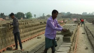 দিনাজপুরে লাইসেন্স ছাড়াই আগের মতই ইট ভাটার কার্যক্রম শুরু