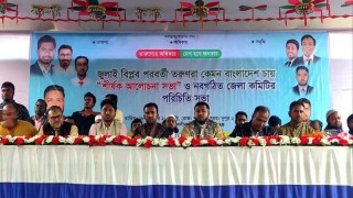 হাসিনার সুবিধাভোগী আমলরা যেকোনো সময় প্রকাশ্যে বিদ্রোহ করতে পারে - আবু হানিফ