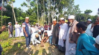 ঝিকরগাছায় মসজিদ নির্মাণ কাজ শুরু করায় প্রসংশায় ভাসছেন মিজান