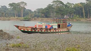 গলাচিপায় মাছ ব্যবসায়ীর দেহ থেকে মাথা বিচ্ছিন্ন; লাশ উদ্ধার