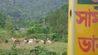 হালুয়াঘাটে ধরাছোঁয়ার বাইরে পাচার চক্রের ভারতীয় র'য়ের এজেন্ট সেই শুকান্ত দত্ত