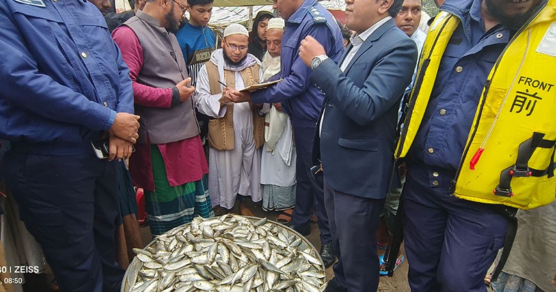 শিবচরে জাটকা ক্রয়-বিক্রয় বন্ধে অভিযান, ২৮০ কেজি জব্দ 