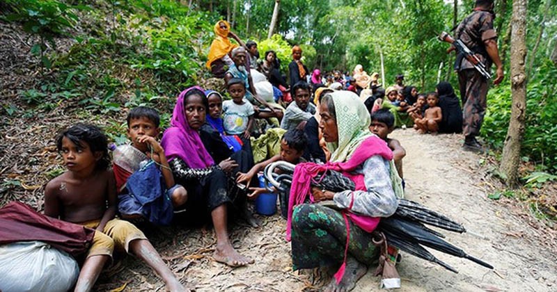 তিনমাসে ১৪৩ রোহিঙ্গার হাতে বাংলাদেশি পাসপোর্ট 