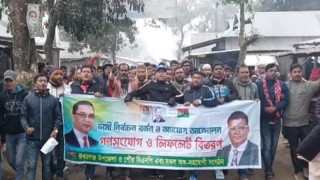 2024January/SM/ishwargonj-pic-bnp-03-20240103180042.jpg