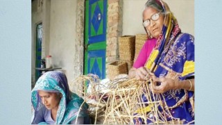 হোগলপাতায় তৈরি হস্তশিল্প যাচ্ছে ২৮ দেশে