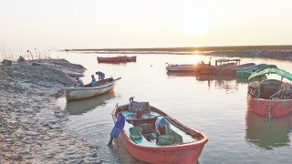 সাগরে মিলছে না আশানুরূপ ইলিশ হতাশায় মীরসরাইয়ের জেলেরা