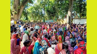 বকেয়া মজুরি না পাওয়ায় এনটিসির চা শ্রমিকদের মানবেতর জীবন যাপন, মজুরী আদায়ে চলছে অনির্দিষ্টকালের কর্মবিরতি