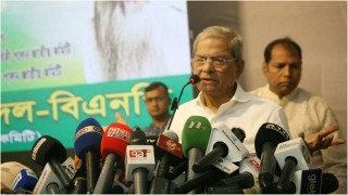 আমি আশা করেছিলাম, প্রধান উপদেষ্টা নির্বাচনের একটি রূপরেখা দেবেন : মির্জা ফখরুল