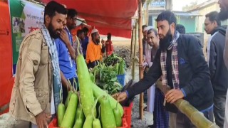 কলাপাড়ায় নিম্নবিত্তদের স্বস্থি দিতে স্থাপন করা হলো সরাসরি কৃষকদের সবজি বাজার