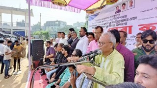 দেশকে বিকলাঙ্গ রাষ্ট্রে পরিণত করেছিলেন শেখ হাসিনা: রিজভী