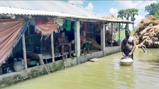 যশোরে ৩ উপজেলার পানিবন্দি মানুষের জন্য ঋণের কিস্তি আদায়ের সময়সীমা বৃদ্ধি ও সহজশর্তে ঋণ দেয়ার নির্দেশনা