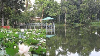 অবশেষে বরিশালের ঐতিহ্যবাহী ‘হীমনীড়’এর ‘পদ্মপুকুর’ থেকে শ্বেতপদ্ম বিনাশের ঘটনায় তদন্ত কমিটি কাজ শুরু করল