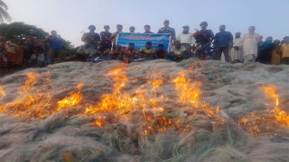 লৌহজংয়ে ইলিশ রক্ষা অভিযান: ৭ জেলের কারাদণ্ড, ১০ লাখ মিটার কারেন্ট জাল ও ইলিশ জব্দ