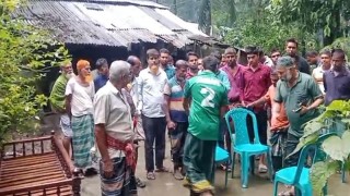 বরগুনায় ঘূর্ণিঝড় ‘দানা’র প্রভাবে গাছ পড়ে একজনের মৃত্যু