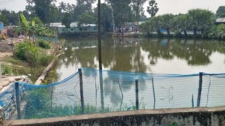 কালিয়াকৈরে পুকুরথেকেঅজ্ঞাতনারীসহশিশুর লাশ উদ্ধার