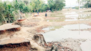 নির্বাচনী প্রচারে ট্রাম্পের চেয়ে তিনগুণ বেশি ব্যয় করেছেন কমলা হ্যারিস