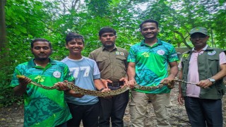 কেপিএম আবাসিক থেকে অজগর উদ্ধার কাপ্তাই ন্যাশনাল পার্কে অবমুক্ত