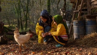 সিল্ক রোড উৎসবে ইরানের ‘মেলোডি’