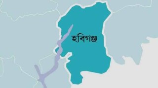 অবৈধভাবে ভারত গিয়ে ফিরে আসার সময় বিজিবি’র হাতে আটক ৬