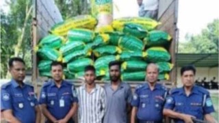 ফুলপুরে ১৬৬ বস্তা ভারতীয় জিরা ভর্তি ট্রাকসহ গ্রেফতার ২