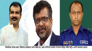 ঝিনাইদহে ইবির শিক্ষার্থী সাইফুল মামুন হত্যা মামলায় ৯ পুলিশসহ ১৫ জন আসামী