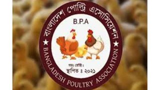 ১ মে থেকে ডিম-মুরগি উৎপাদনকারী সব খামার বন্ধ ঘোষণা