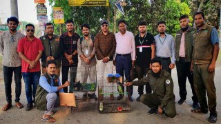 কুষ্টিয়ায় দেশি পাখি উদ্ধার