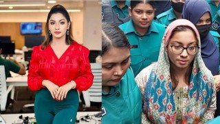 সৌদি রাষ্ট্রদূতকে হেয় করাই মূল উদ্দেশ্য মেঘনার?