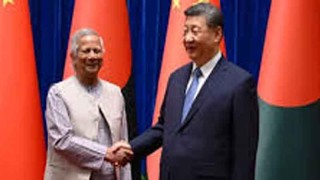 শি জিন পিংকে তাজা আম পাঠাবেন প্রধান উপদেষ্টা