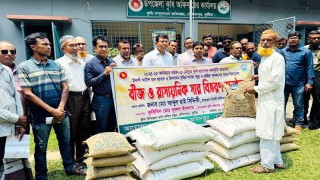 কুষ্টিয়ার দৌলতপুরে ক্ষুদ্র ও প্রান্তিক কৃষকের মাঝে বিনামূল্যে বীজ ও সার বিতরণ