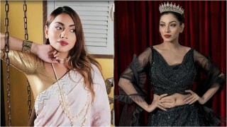 কূট-কৌশলে ‌ভিআইপিদের টার্গেট করতেন মেঘনা আলম চক্র