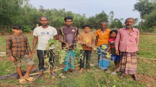 বন্যহাতির অত্যাচারে অতিষ্ঠ পাহাড়িবাসী